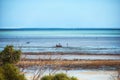 The beach at Antsanitia, Madagascar Royalty Free Stock Photo