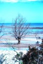 The beach at Antsanitia, Madagascar Royalty Free Stock Photo