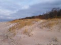 Beach in autumn