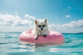 Beach Babe: A Playful Pomeranian Wearing Sunglasses on a Colorful Float - Generative AI