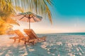 Beach background. Beautiful beach landscape. Tropical nature scene. Palm trees and blue sky. Summer holiday and vacation concept.