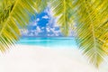 Beach background. Beautiful beach landscape. Tropical nature scene. Palm trees and blue sky. Summer holiday and vacation concept. Royalty Free Stock Photo
