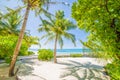 Palm trees and blue sea and white sand. Tropical beach background Royalty Free Stock Photo