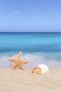 Beach background scene in summer vacation holidays with sea and