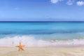 Beach background scene in summer on vacation with sea star and c Royalty Free Stock Photo