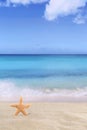 Beach background scene in summer on vacation with sea star Royalty Free Stock Photo