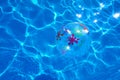 Beach ball floating in a blue swimming pool. Summer background. Royalty Free Stock Photo