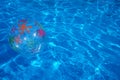 Beach ball floating in a blue swimming pool. Summer background.