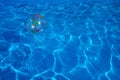 Beach ball floating in a blue swimming pool. Summer background. Royalty Free Stock Photo