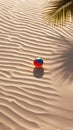 Beach ball on sand with shadow of palm tree leaf Royalty Free Stock Photo