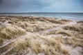 Beach of baltic sea in cold days. Original Wallpaper with soft colors. Coastal scenery with sandy beach, dunes with marram grass