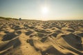 Beach of the Baltic Sea with evening sun Royalty Free Stock Photo