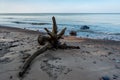 Beach of Baltic sea Royalty Free Stock Photo