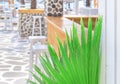 Beach bar close with green reed