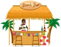 Beach bar with drinks. Bartender making alcohol drink. Outdoor bar with girl pouring champagne