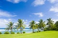 Beach of Bathsheba Royalty Free Stock Photo