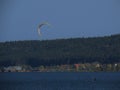 On the beach of a Bavarian lake - brombachsee