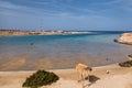 Beach at the bay of Jabal Al Rosas 2