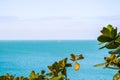 Beach, beautiful panoramic sea view, with clean water, blue sky and some green leaves branch Royalty Free Stock Photo