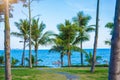 Beach beautiful thatched umbrellas and bright turquoise sea, great recreation and relaxation. tropical paradise. Royalty Free Stock Photo