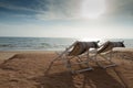 Beach bed with sun flare twilight time. Royalty Free Stock Photo