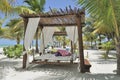 Beach bed on white sand among palm trees Royalty Free Stock Photo