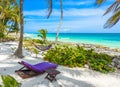 Beach beds and Hammock under the palm trees on paradise beach at tropical Resort. Riviera Maya - Caribbean coast at Tulum in Royalty Free Stock Photo