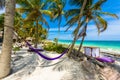 Beach beds and Hammock under the palm trees on paradise beach at tropical Resort. Riviera Maya - Caribbean coast at Tulum in Royalty Free Stock Photo