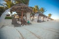 Beach beds near big palmtree at tropical exotic Royalty Free Stock Photo