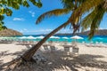 Beach beds and umbrellas on a sandy beach under a palm tree in the Caribbean Sea Royalty Free Stock Photo