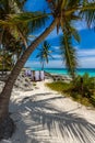Beach beds under the palm trees on paradise beach at tropical Resort. Riviera Maya - Caribbean coast at Tulum in Quintana Roo, Royalty Free Stock Photo