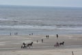 Beach in Bergen ann Zee, Netherlands, Noordholland