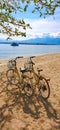 Beach Bikes Couple Honeymoon On Tropical Island