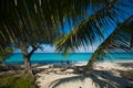 Beach on Bimini looking throungh palms Royalty Free Stock Photo