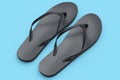 Beach black flip-flops or sandals isolated on blue background.