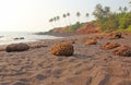 Beach with black sand and palm trees. Dark brown volcanic sand a Royalty Free Stock Photo