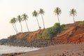 Beach with black sand and palm trees. Dark brown volcanic sand a Royalty Free Stock Photo