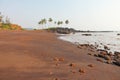 Beach with black sand and palm trees. Dark brown volcanic sand a Royalty Free Stock Photo