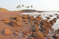 Beach with black sand and palm trees. Dark brown volcanic sand a Royalty Free Stock Photo