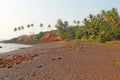 Beach with black sand and palm trees. Dark brown volcanic sand a Royalty Free Stock Photo