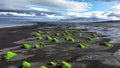 Beach with black volcanic sand in Iceland, Epic aerial view, Green grass grow in black sand, Unearthly landscape, Ocean