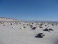 At the beach of Blavand / Denmark