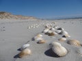 At the beach of Blavand / Denmark Royalty Free Stock Photo