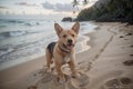 Beach Bliss A Dog s Hawaiian Adventure.AI Generated