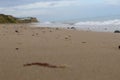 Beach blur beachscape on sandy beach