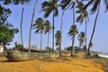 Beach, boat and palm trees on the shores of ocean Royalty Free Stock Photo