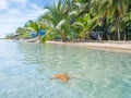 Beach in bocas del toro