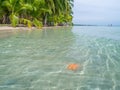 Beach in bocas del toro Royalty Free Stock Photo