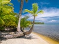 Beach in bocas del toro