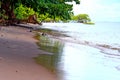 Tropical lush vegetation and calm waves beach with wet sand reflecting the sunlight Royalty Free Stock Photo